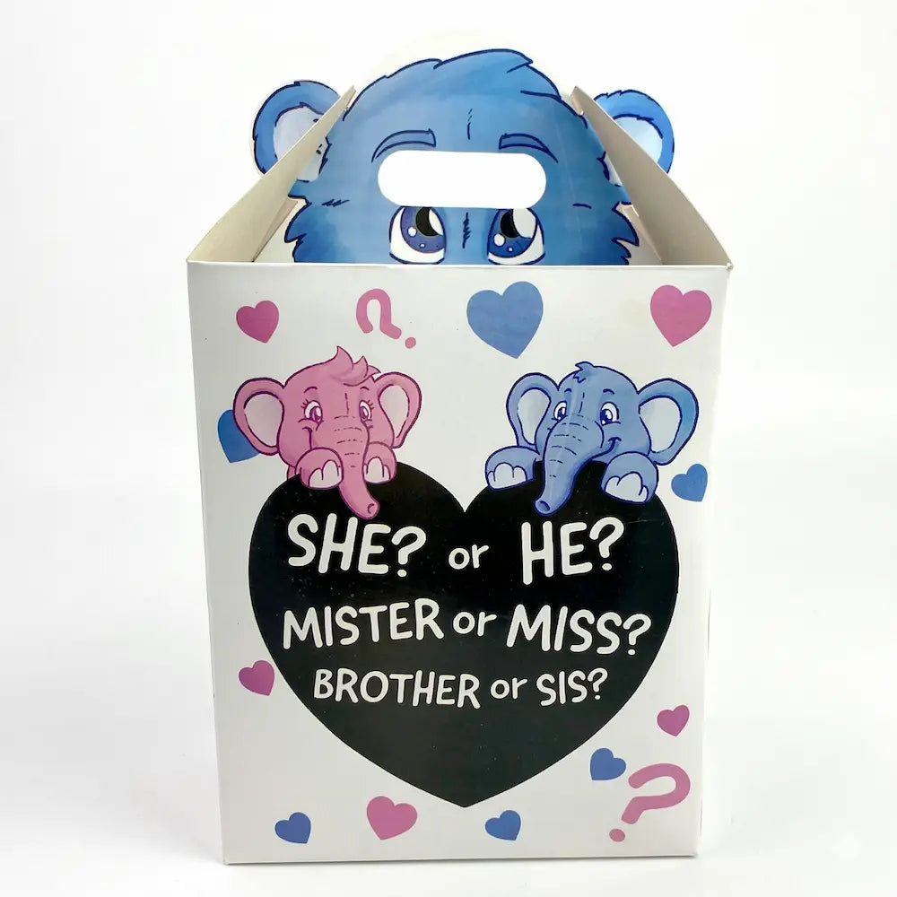 Gender Reveal Doos – Surprise Box "She or He"