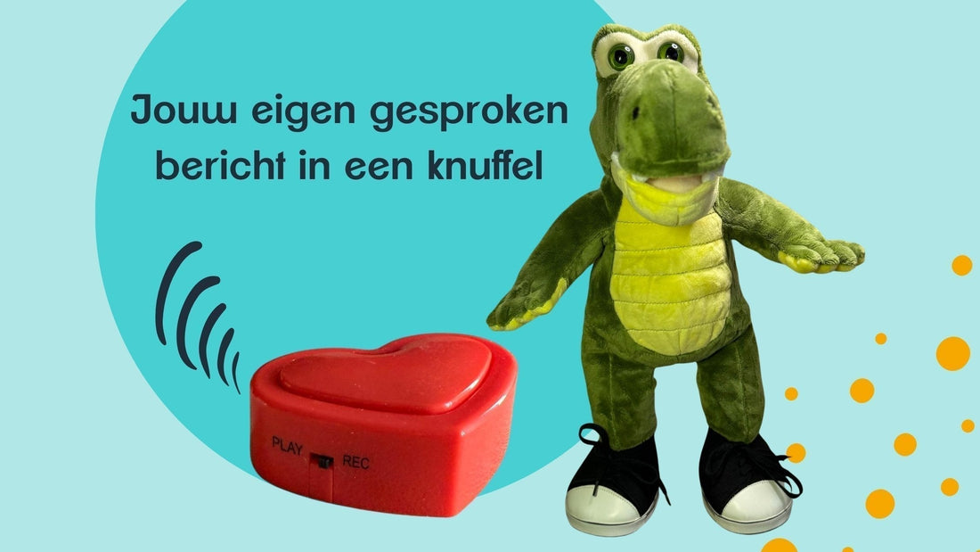 Knuffel geluidsmodule