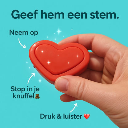 Infographic over de geluidsmodule van Make a Bear – uitleg hoe je een persoonlijk bericht inspreekt en toevoegt aan je knuffel.
